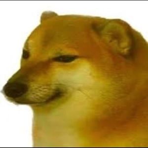 Meet your Posher, Jazmin